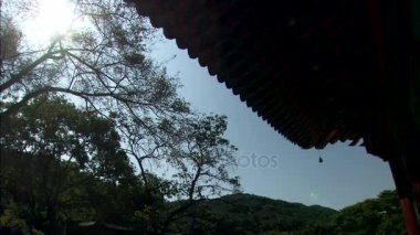 Tapınak karmaşık Meydanı