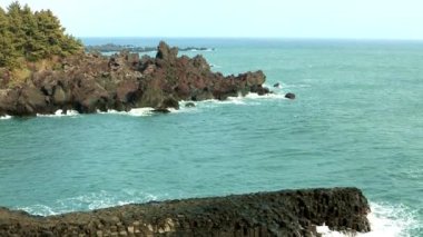 Jeju Adası'nın tek sıra halinde ortak