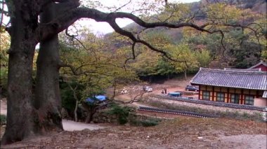 tapınağın doğal görünümü