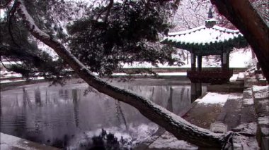 karla kaplı ağaçlarıyla çevrili gölet