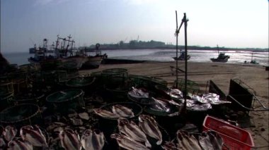 Sahil, Seocheon-gun, Chungnam-si, Kore üzerinde güneş altında kurutma balıklar