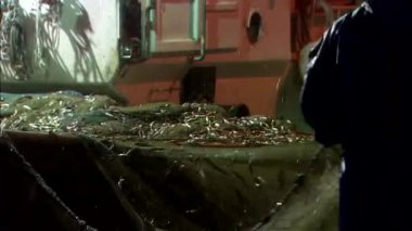 Balık-mücadele balık dışarı sallayarak balıkçılar