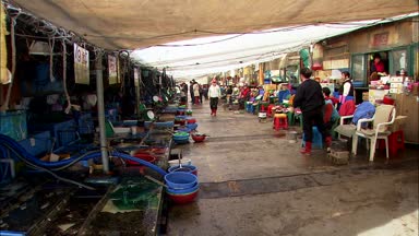 Kore deniz ürünleri Pazar Sokcho-si, Gangwon-do, Kore