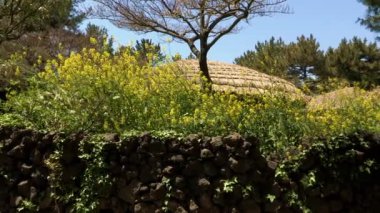 Halk Köyü Jeju-Adası