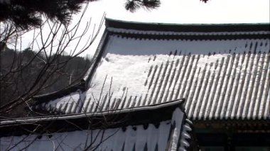 Ön plan dallarda ile geleneksel Kore Tapınağı binaların karlı çatıları