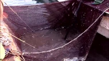 Ağlar Balık tutma balık almak erkekler