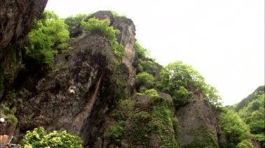 Alt görünümü ağaçlar ve Kore geleneksel tapınak taş 