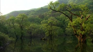 ayna Göl yüzeyinde yansıtan hills 