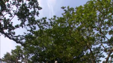 Kore tapınağın zengin yeşil flora ile Önden Görünüm