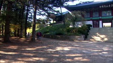 Geleneksel tapınak inşa görünümünü 