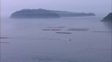 Wando-gun su da yüzen tekne