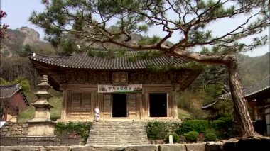 Komuta sizde ağaç ve anıt ile ön plan üzerinde bina geleneksel Kore temple yakınındaki yürüyüş