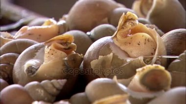 Balık pazarı, rapas salyangozu yığını