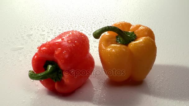 Ripe peppers with water drops — Stock Video