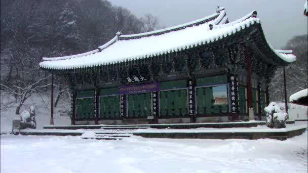 Hall på huvudtemplet i Jangseong-gun — Stockvideo