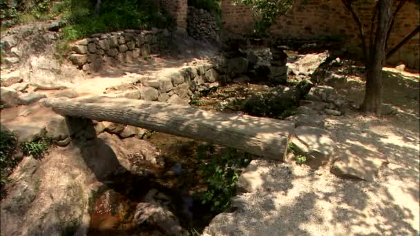 Patio Trasero Casa Tradicional Coreana Con Pequeño Puente Ricas Plantas — Vídeo de stock