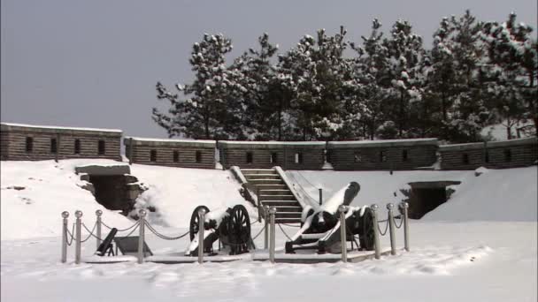 Verschneite Schwarze Kanonen Mit Steinmauer Und Bäumen Hintergrund — Stockvideo