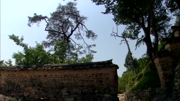 Blick Auf Traditionelle Koreanische Zaun Kleine Bach Und Sattgrüne Pflanzen — Stockvideo