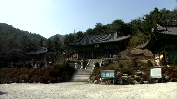 Παραδοσιακό Ναό Στο Γκανγκνέουνγκ Gangwon Κορέα — Αρχείο Βίντεο
