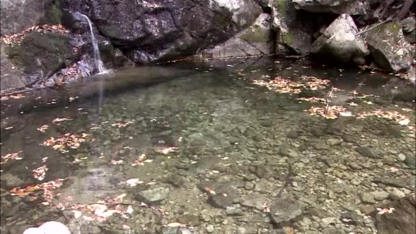 Cascada cayendo en el lago — Vídeos de Stock