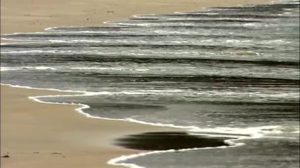 Океанічні хвилі розбиваються на піщаному пляжі — стокове відео