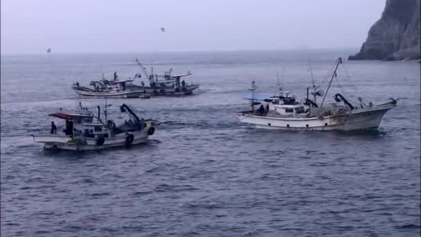 Pêcheurs flottant sur des bateaux de pêche — Video