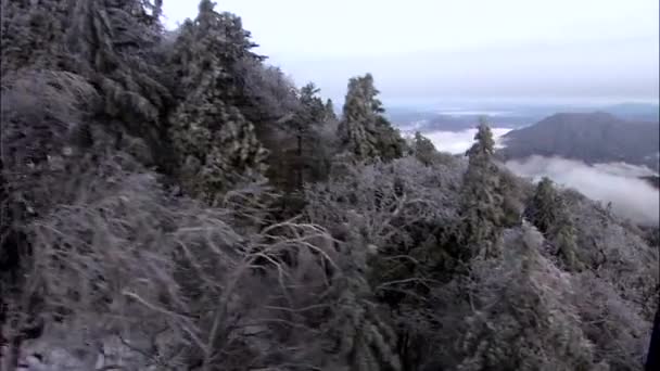 Incrível Paisagem Floresta Coberta Neve Montanhas Dia Inverno Coréia — Vídeo de Stock