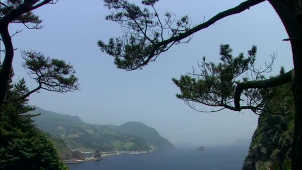 绿色的山和海 — 图库视频影像