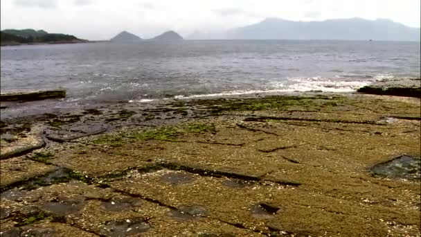 View Basaltic Seashore Gosung Gangwon Korea — Stock Video