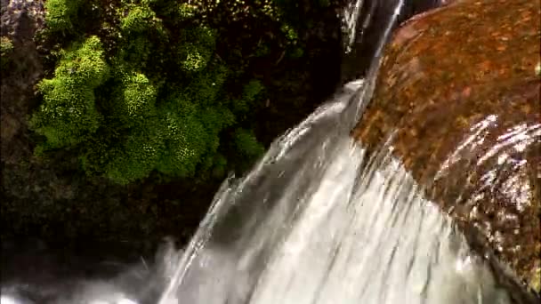 Schöne kalte Ströme des Wasserfalls — Stockvideo