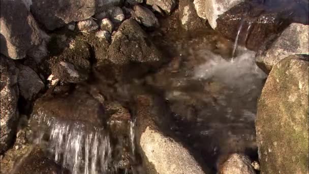 Paisaje Primavera Gurye Provincia Jeollanam Corea — Vídeos de Stock