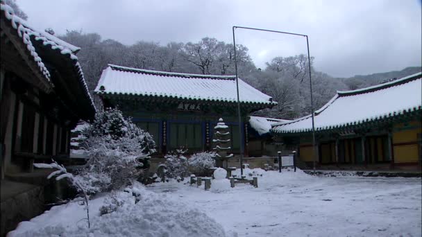 Beş katlı taş Pagoda avluda — Stok video