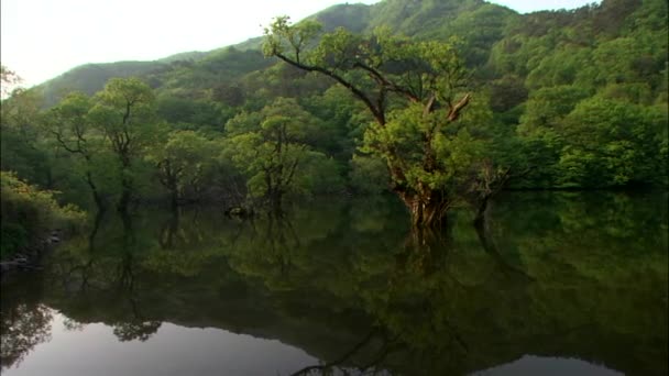 collines réfléchissant sur la surface miroir du lac  