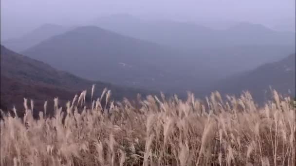 Paisaje de la montaña de Mudeungsan — Vídeos de Stock