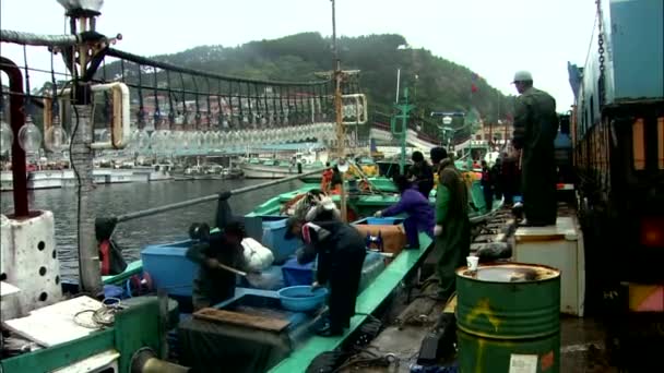 Hombre desplazamiento de peces de malla metálica — Vídeos de Stock