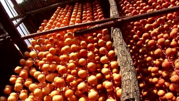 Collectie Van Aleppo Rijpe Kaki Opslag — Stockvideo