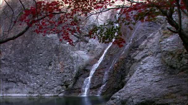 Hermosa cascada enorme — Vídeo de stock