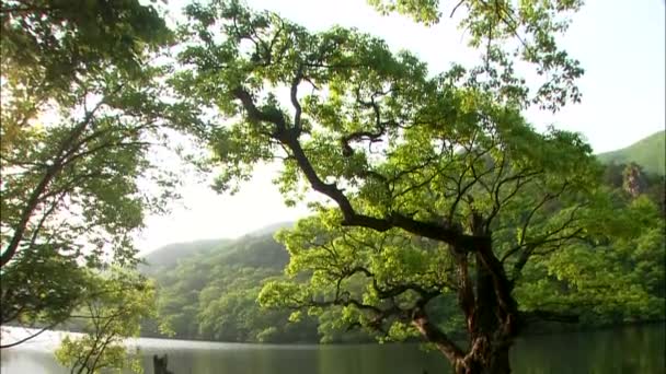 Hügel, die sich auf Spiegeloberfläche des Sees spiegeln — Stockvideo