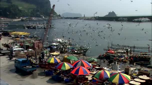 Paesaggio marino dell'isola di Ulleungdo — Video Stock