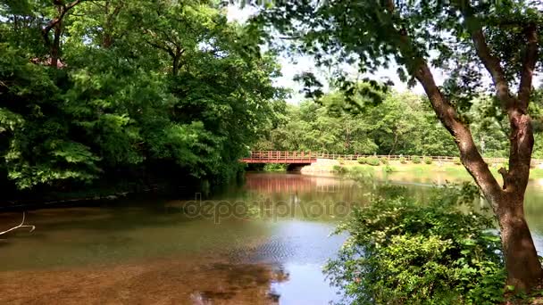 Landschap van de vijver in arboretum in Korea — Stockvideo