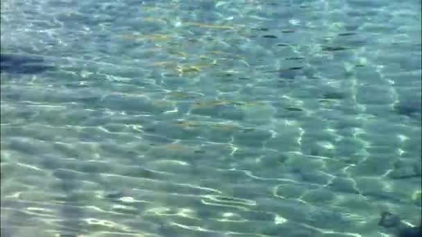 草市的波光粼粼的水面 — 图库视频影像