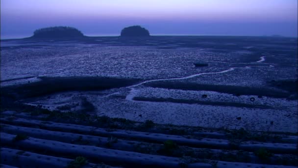 Paarse landschap van braakliggende terreinen — Stockvideo