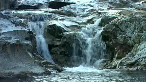 韓国済州島で春の大きな滝 — ストック動画