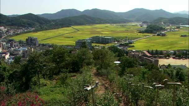 Landschap van de Gwangyang-si natuur — Stockvideo