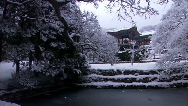 Estanque rodeado de árboles cubiertos de nieve — Vídeo de stock