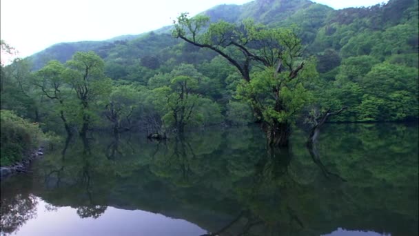 Холмы, отражающиеся на зеркальной поверхности озера — стоковое видео