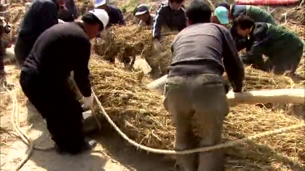 Samcheok Gangwon Südkorea Juli 2007 Ostmeer Koreas Menschen Die Riesige — Stockvideo