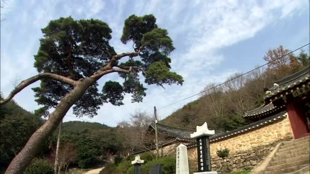 Traditionele Koreaanse Tempel Jangheung Gun Jeollanam Zuid Korea — Stockvideo