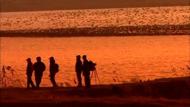 Siluetas de fotógrafos en la costa cerca del mar — Vídeos de Stock