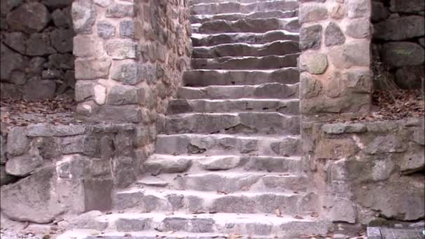 Oude Stenen Tempel Trappen Gongju Chungcheongnam Korea — Stockvideo